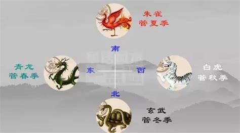 左虎右龍|左青龍右白虎：一招教你學會風水中的“四靈山訣”